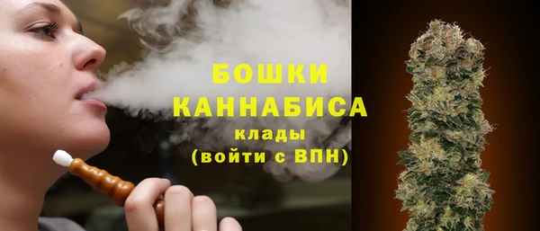 мескалин Богданович