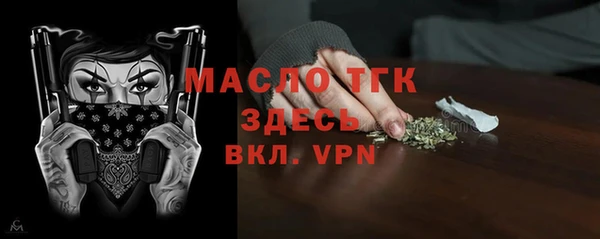 мдпв Богородицк
