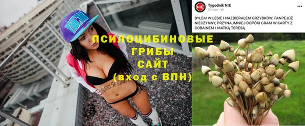 спиды Саяногорск