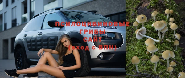 мескалин Богданович
