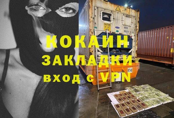 гидра Белокуриха