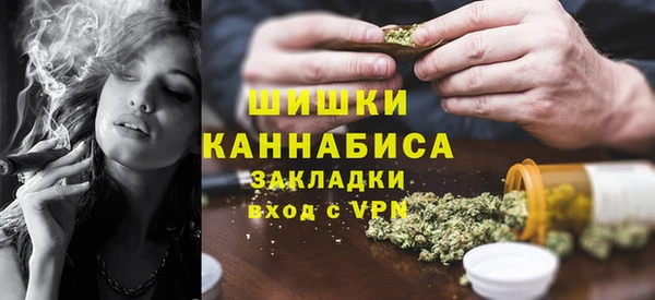 мдпв Богородицк