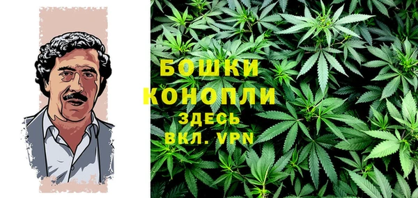 хмурый Сатка