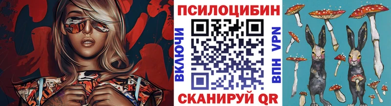 Галлюциногенные грибы мицелий  наркота  Мурино 